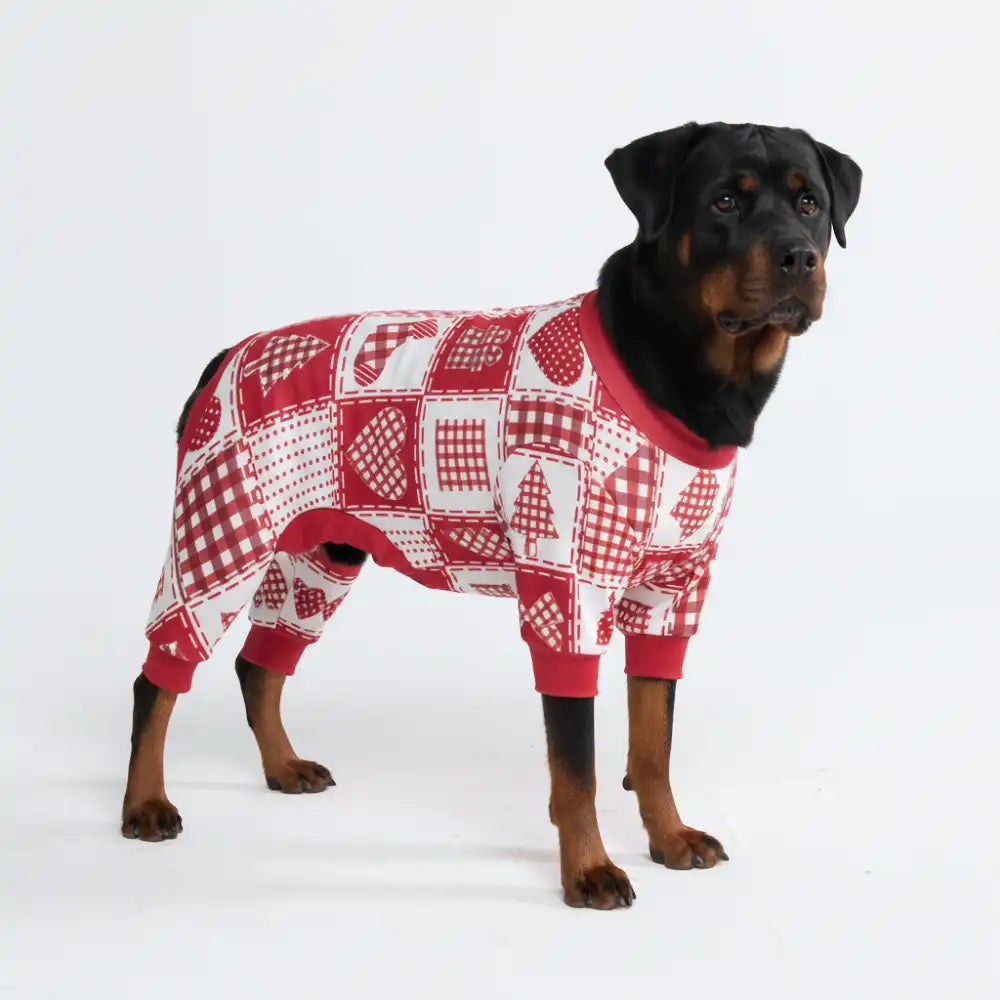 sparkpawsmaut.com