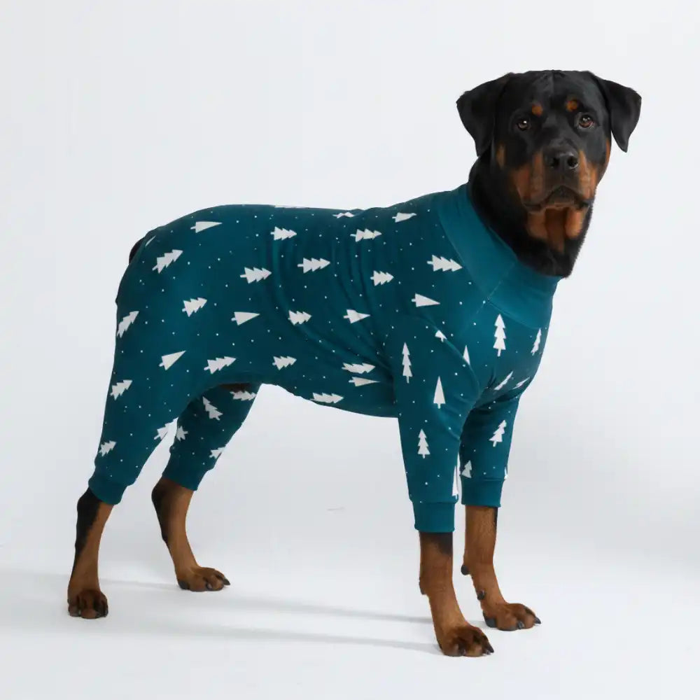 sparkpawsmaut.com