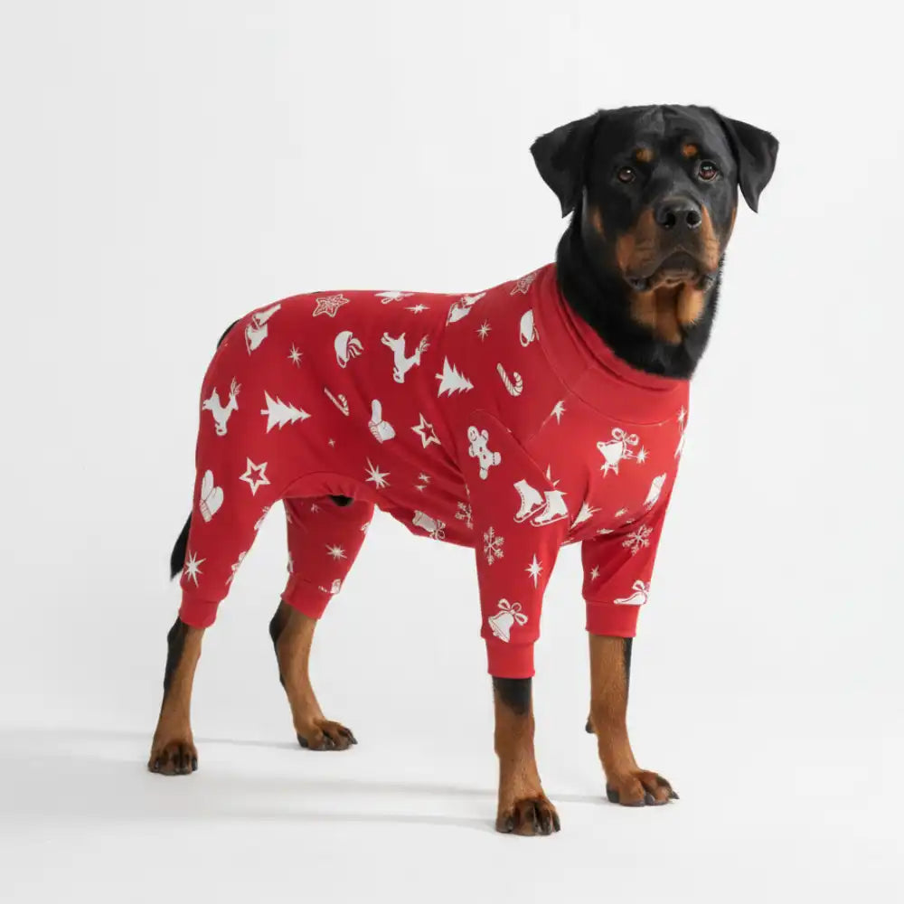 sparkpawsmaut.com