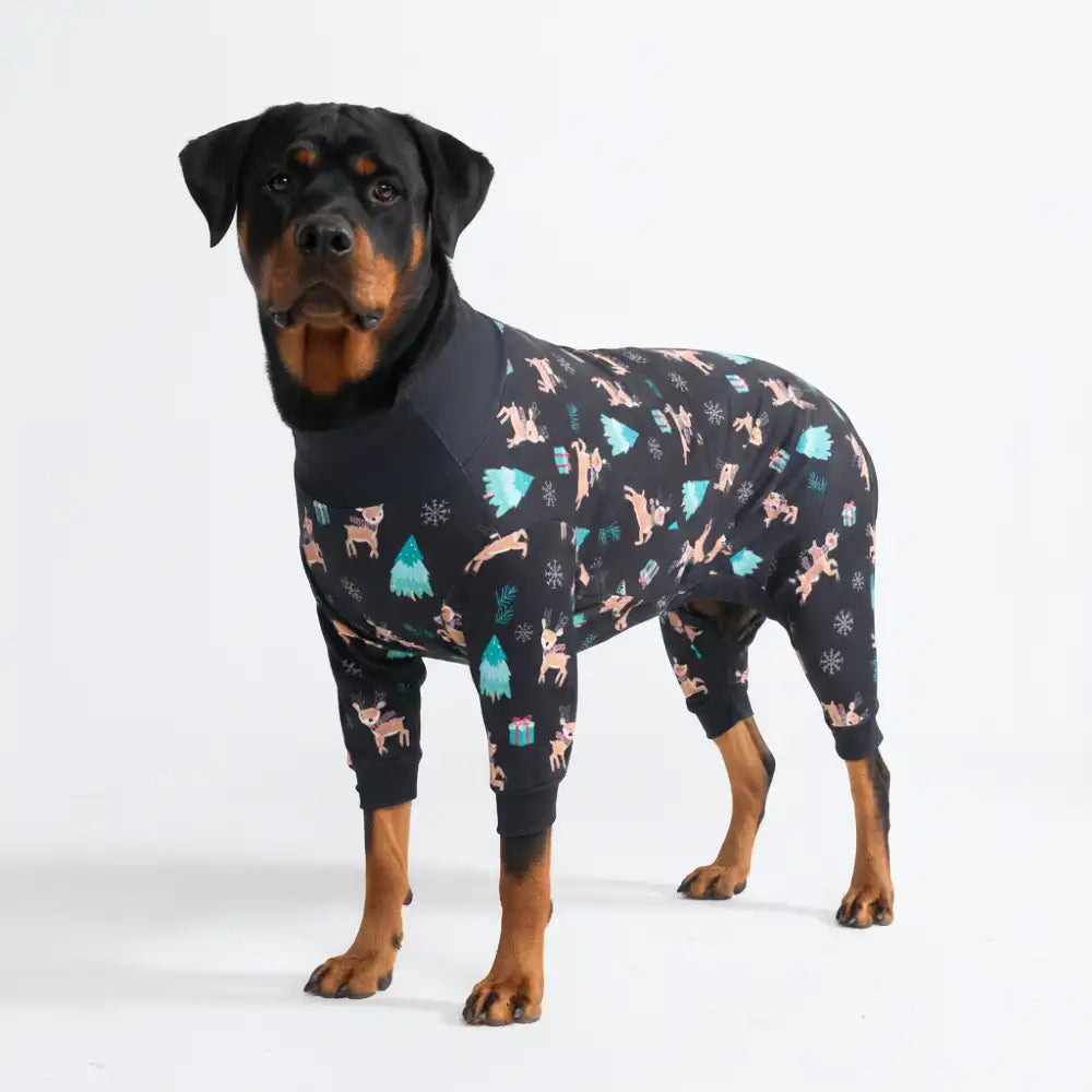 sparkpawsmaut.com