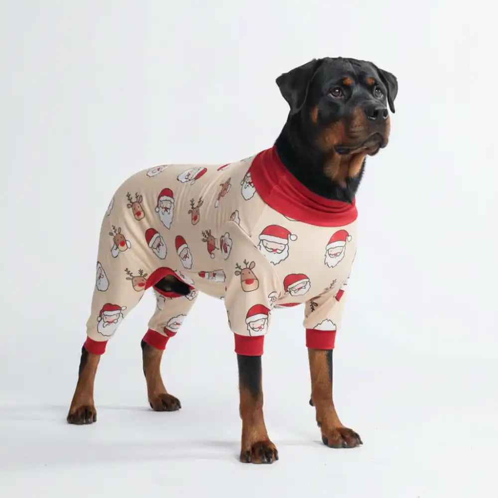 sparkpawsmaut.com