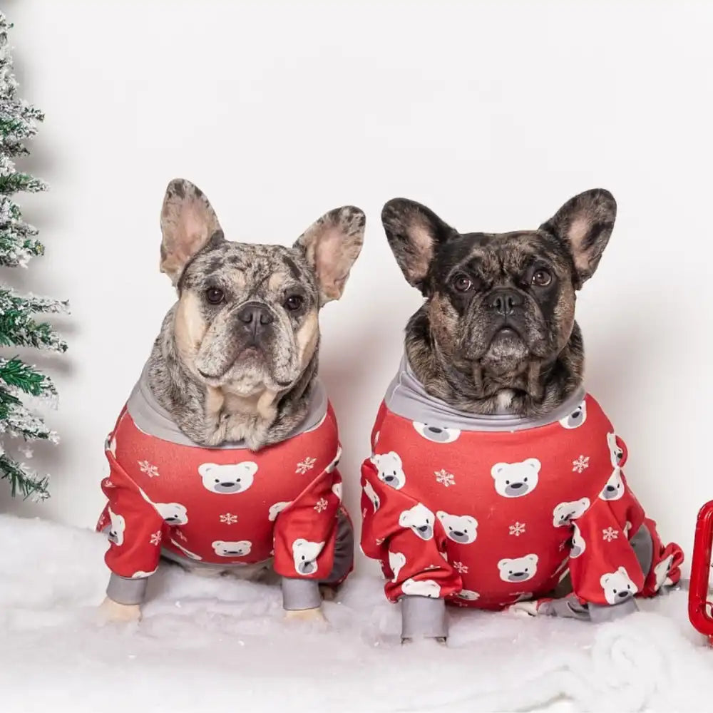 sparkpawsmaut.com
