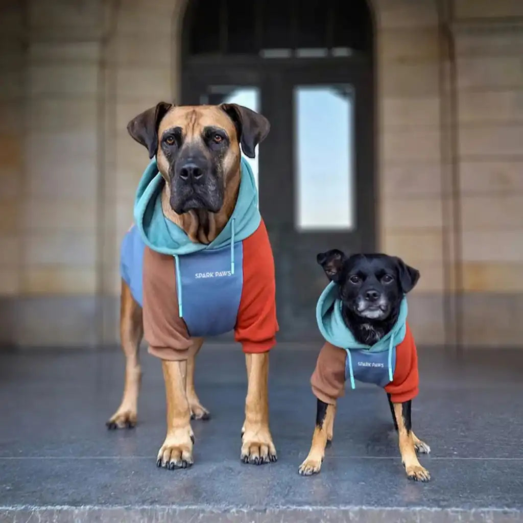sparkpawsmaut.com