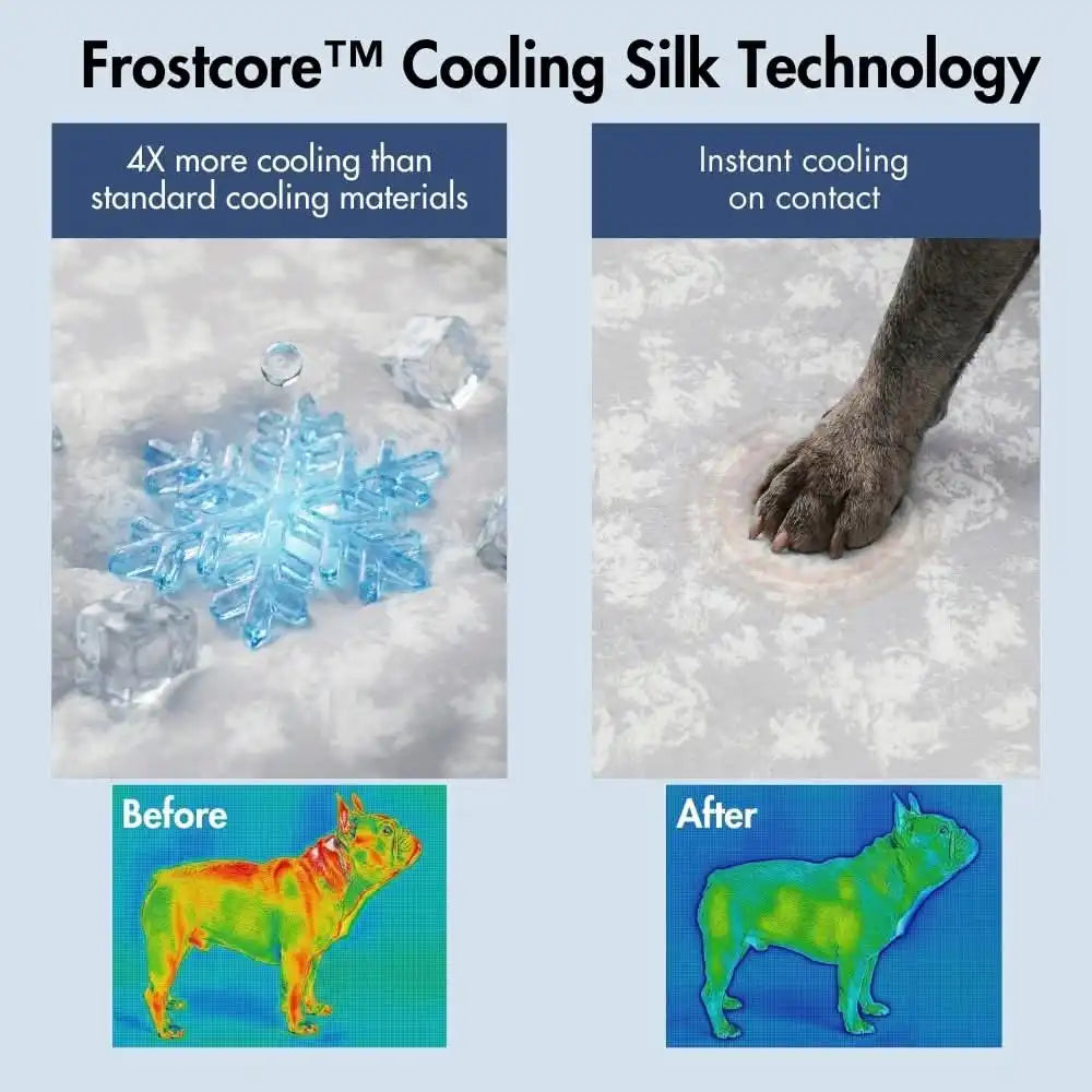 sparkpawsmaut.com