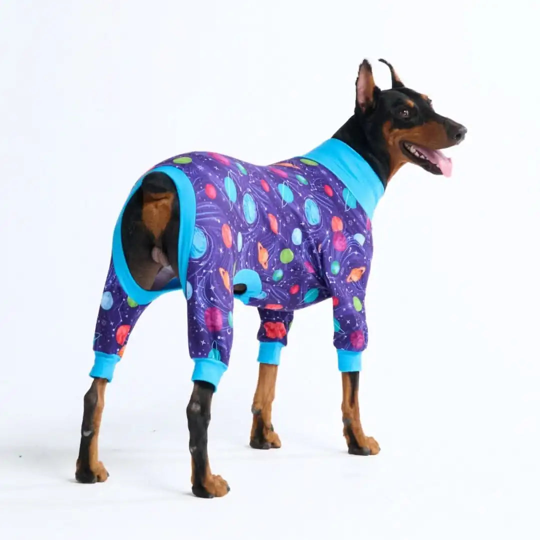 sparkpawsmaut.com