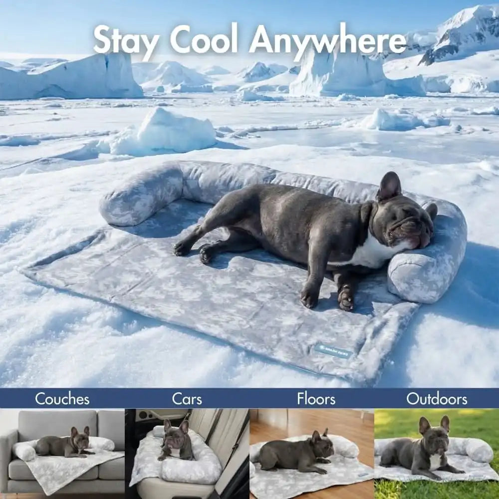 sparkpawsmaut.com