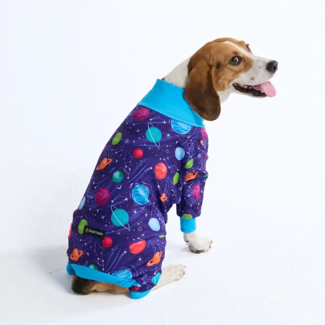 sparkpawsmaut.com