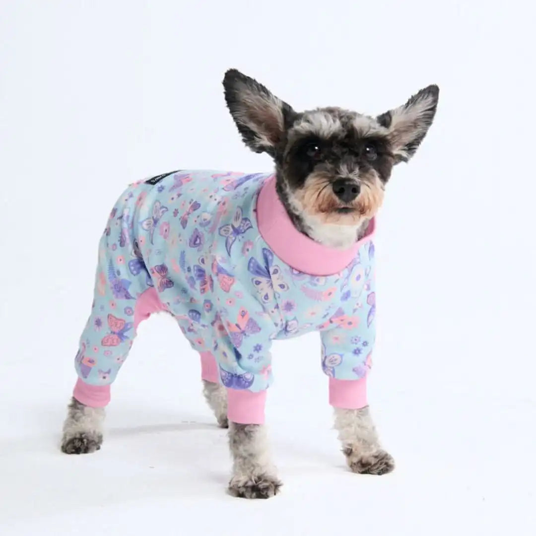 sparkpawsmaut.com
