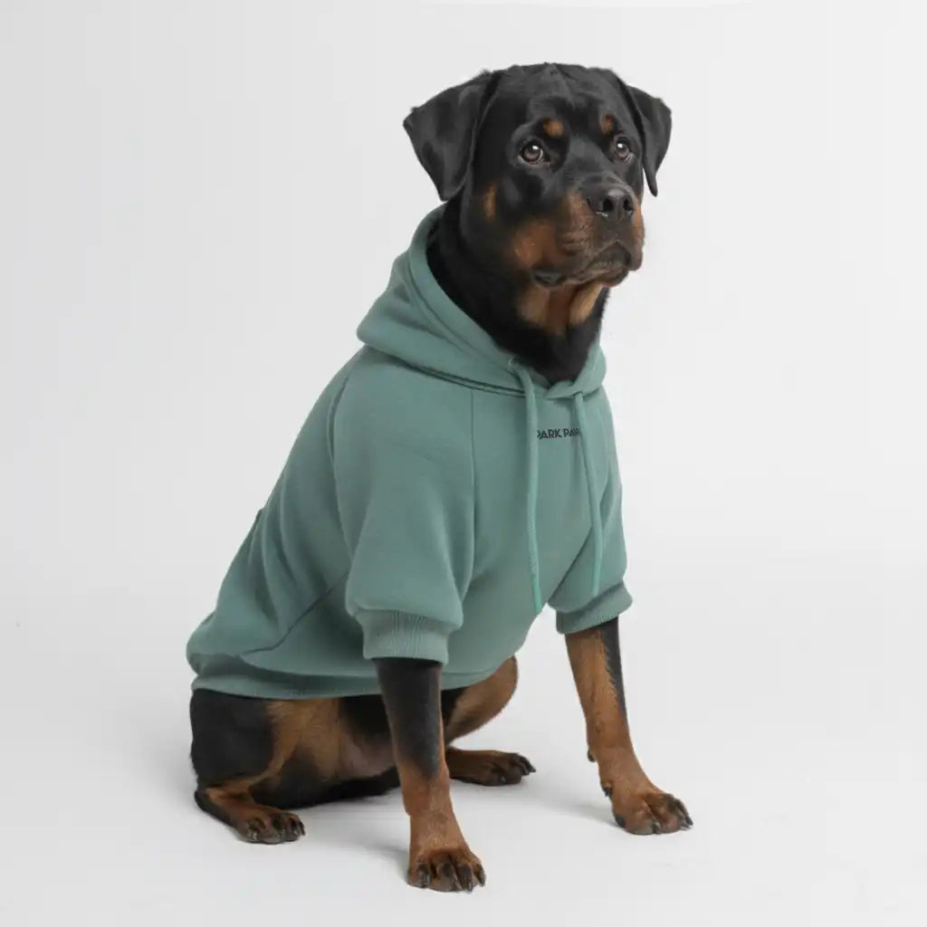 sparkpawsmaut.com