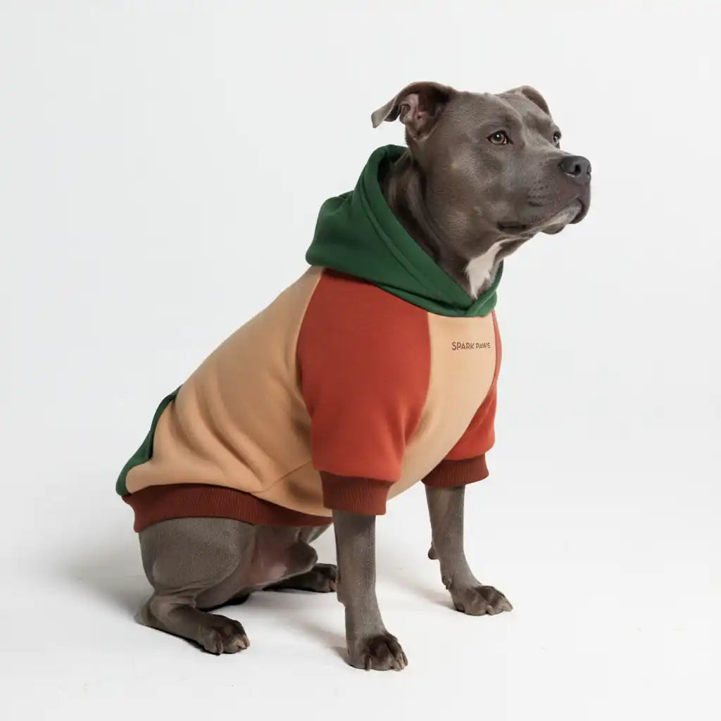 sparkpawsmaut.com