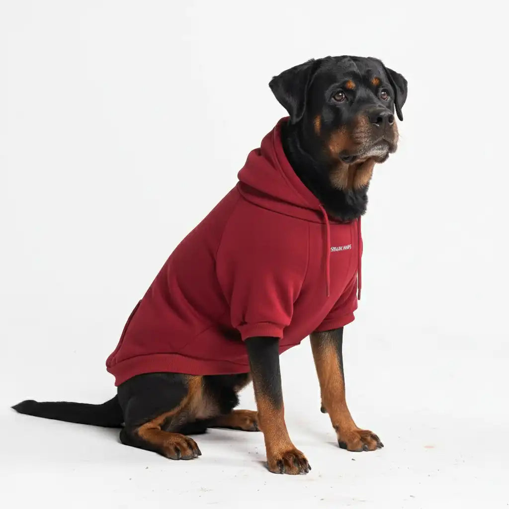 sparkpawsmaut.com
