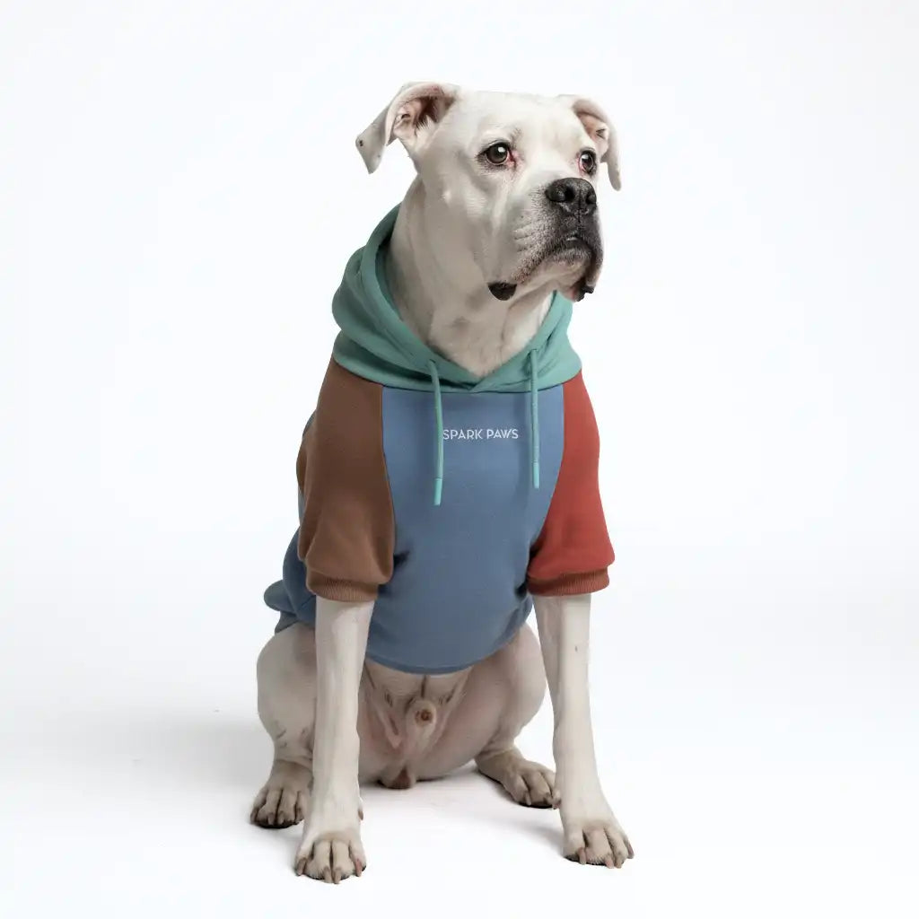 sparkpawsmaut.com