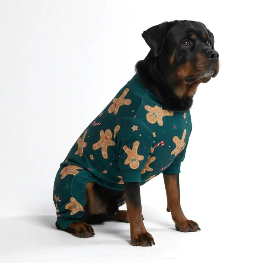 sparkpawsmaut.com