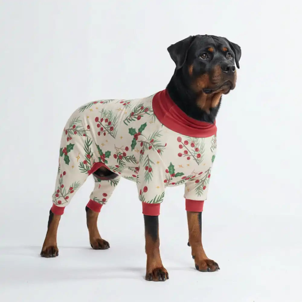 sparkpawsmaut.com