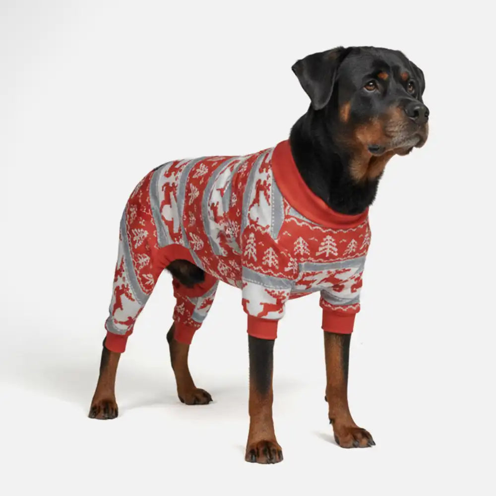 sparkpawsmaut.com