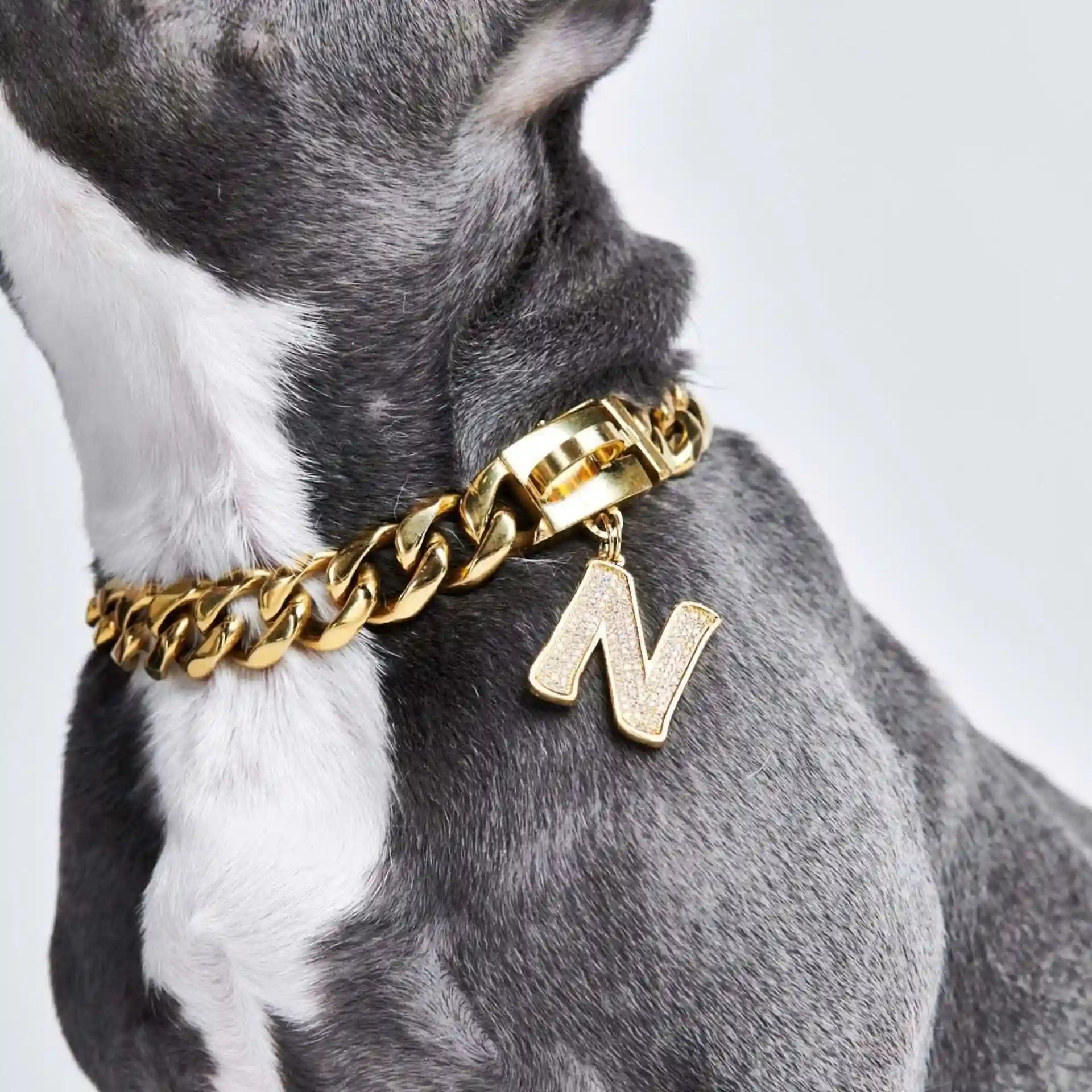 sparkpawsmaut.com