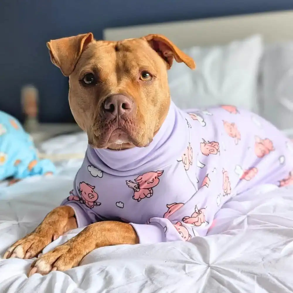 sparkpawsmaut.com