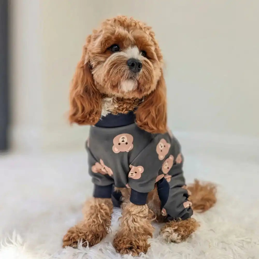 sparkpawsmaut.com