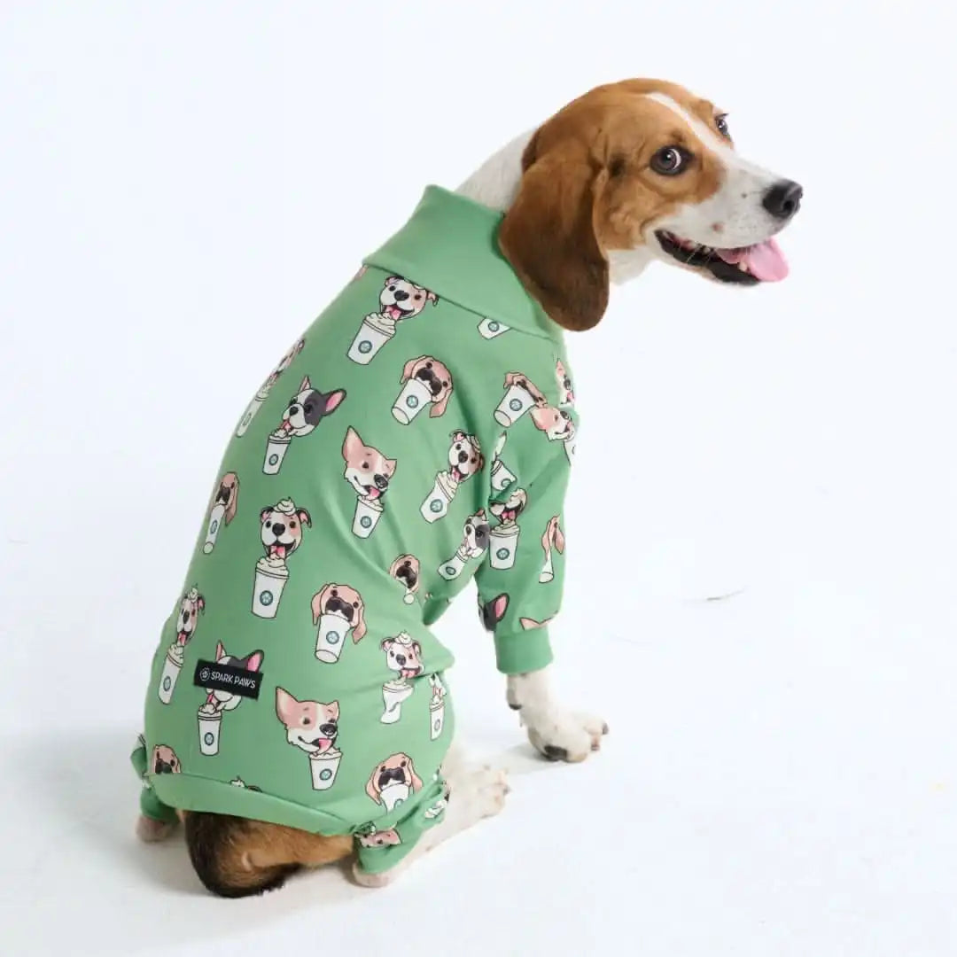 sparkpawsmaut.com