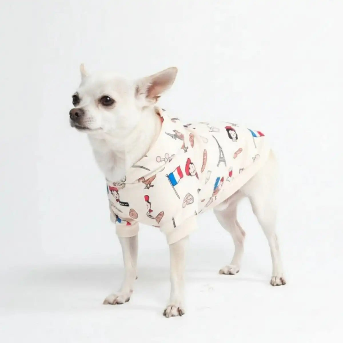 sparkpawsmaut.com