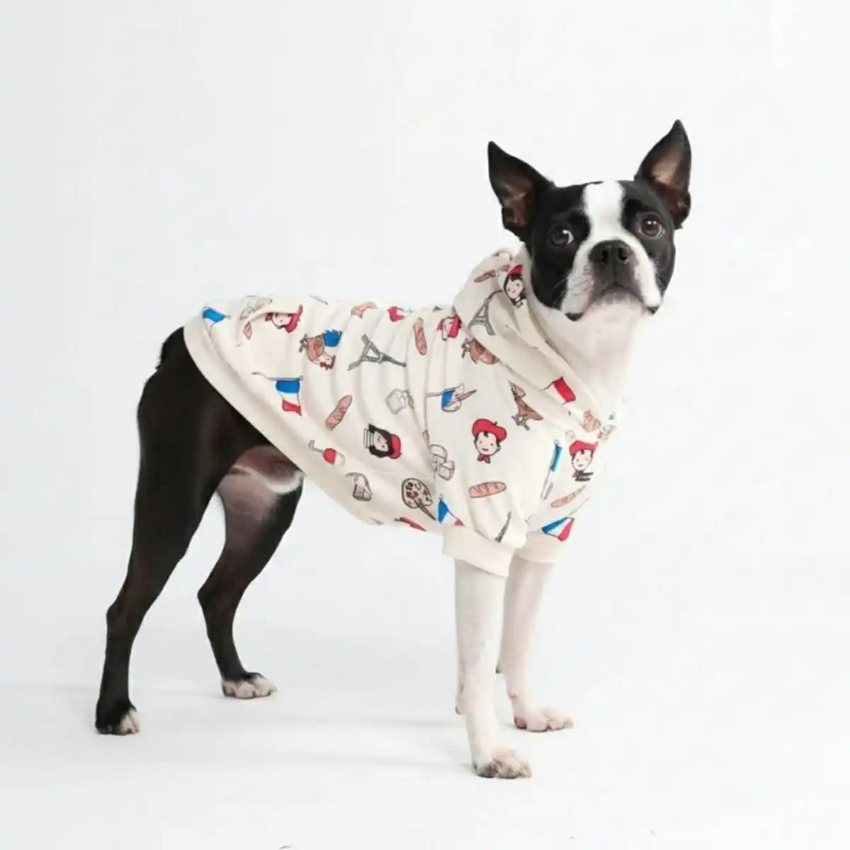 sparkpawsmaut.com