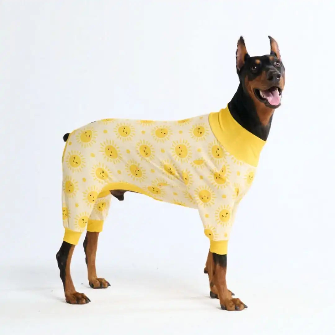 sparkpawsmaut.com