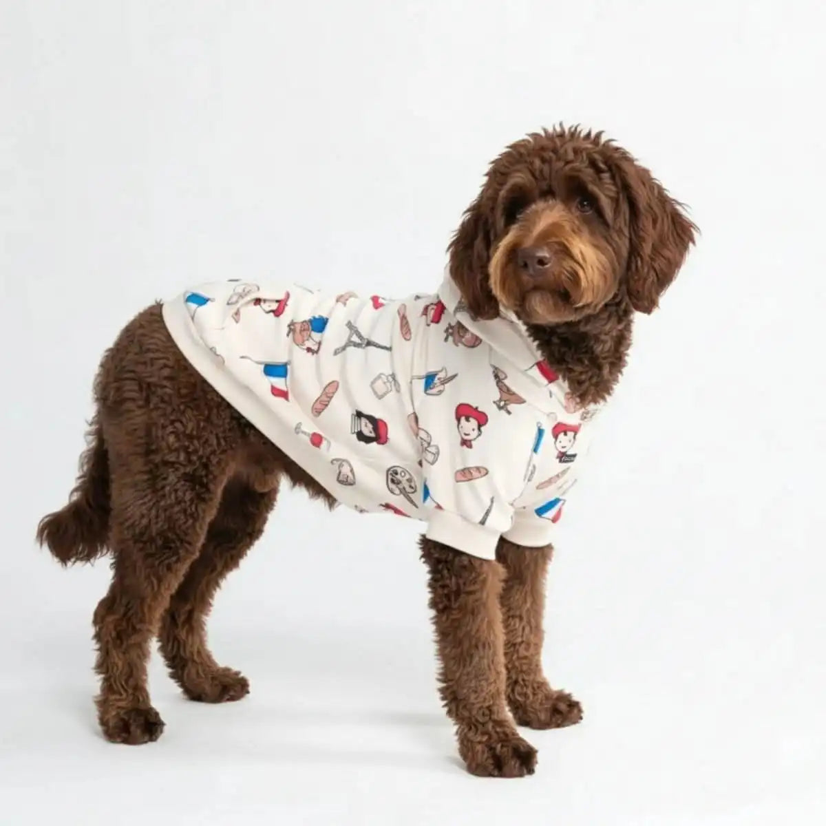 sparkpawsmaut.com