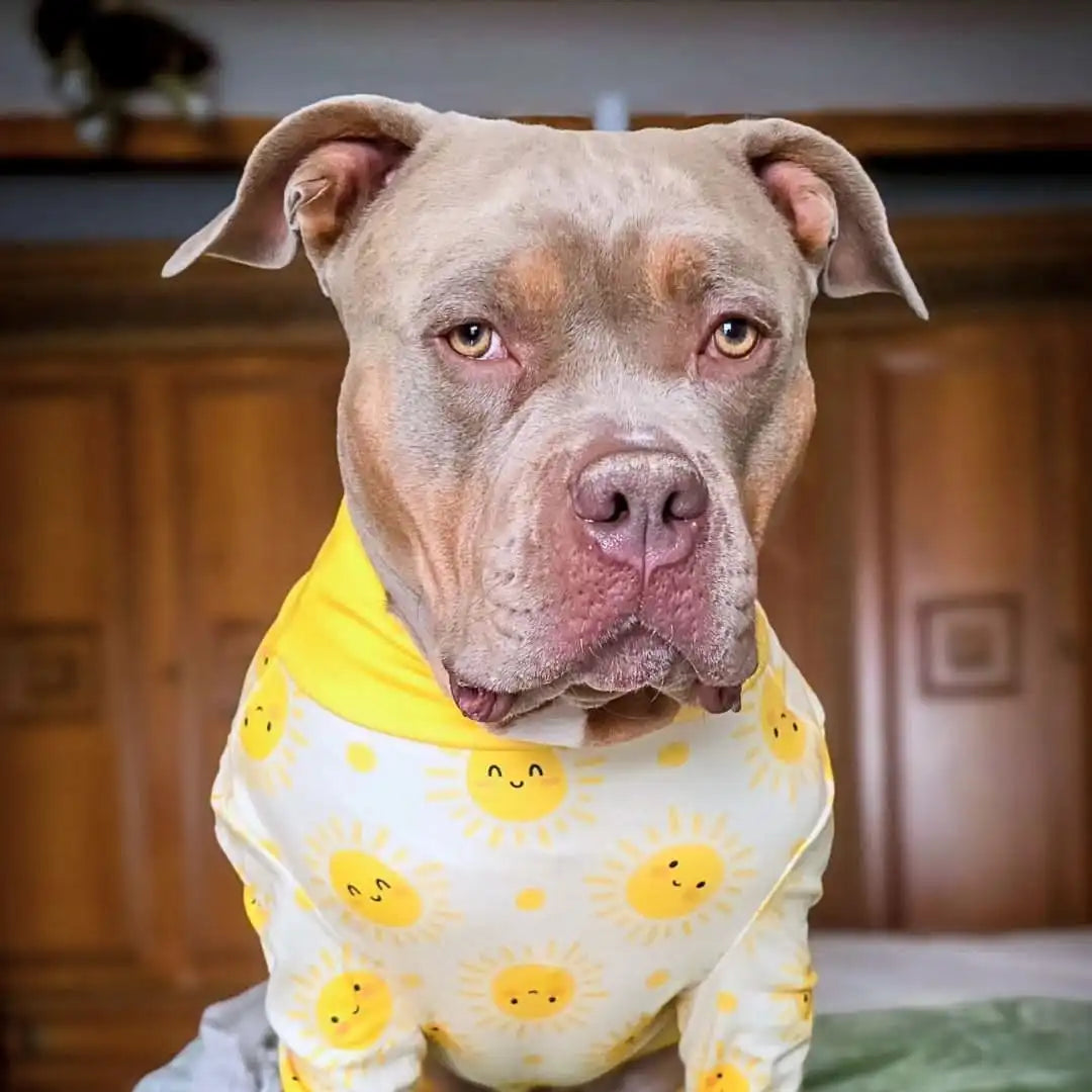 sparkpawsmaut.com