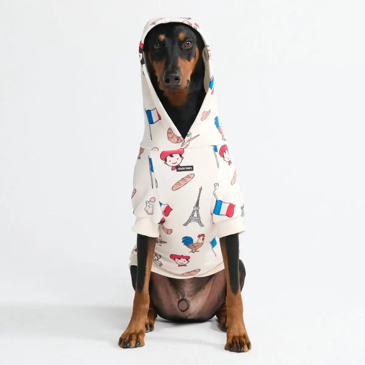 sparkpawsmaut.com