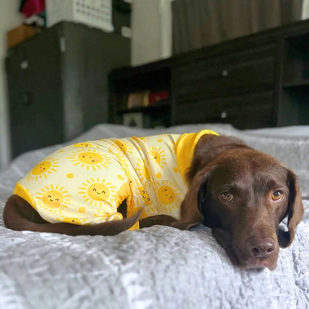 sparkpawsmaut.com