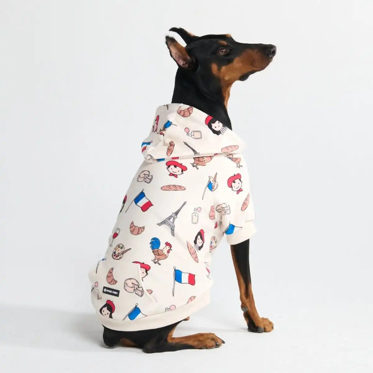 sparkpawsmaut.com
