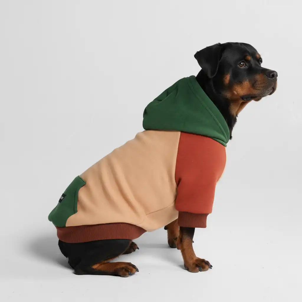 sparkpawsmaut.com