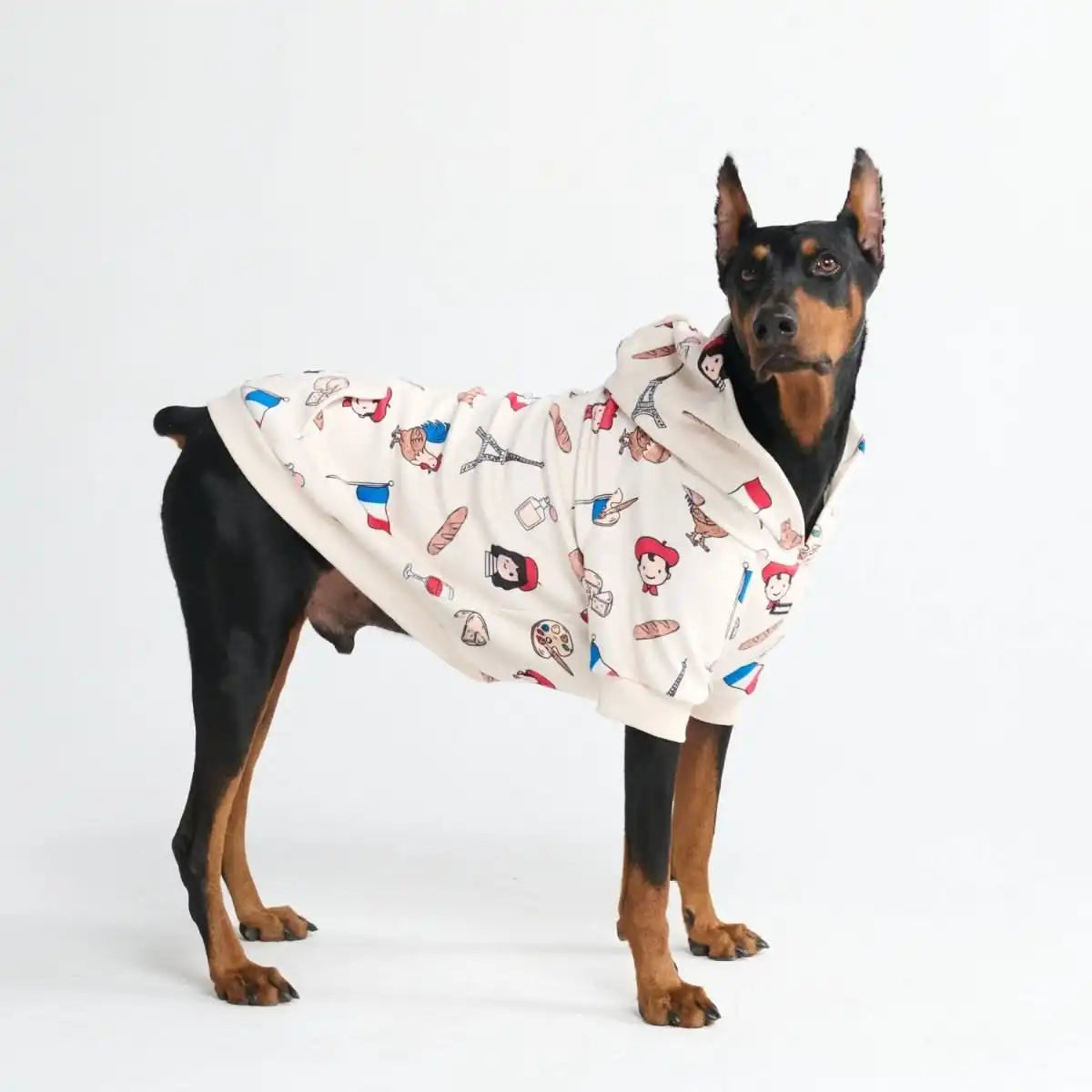 sparkpawsmaut.com