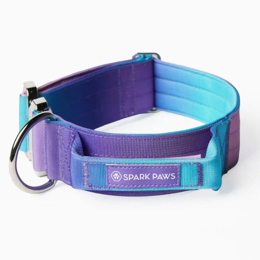Comfort Control Collar - 90s Retro
