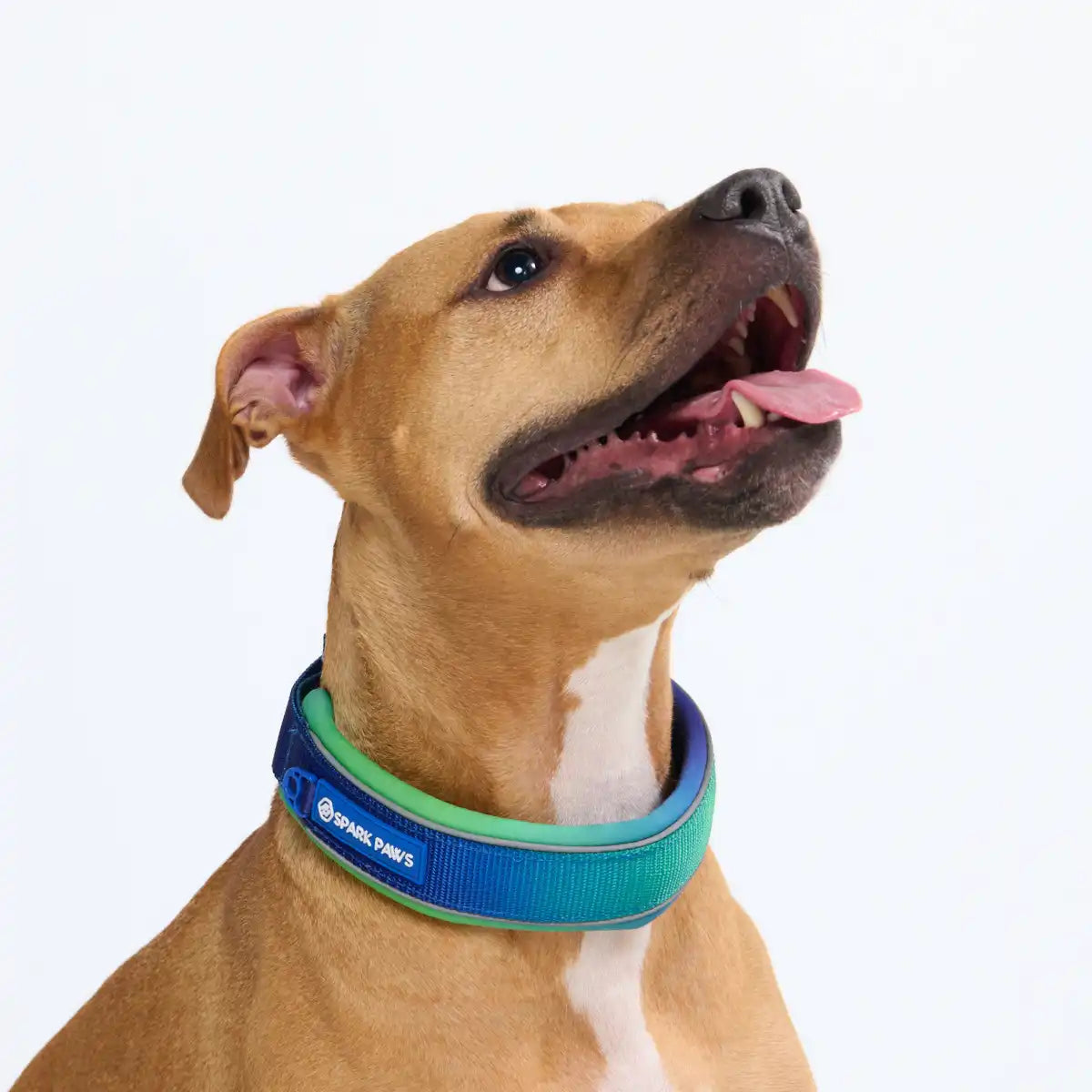 sparkpawsmaut.com