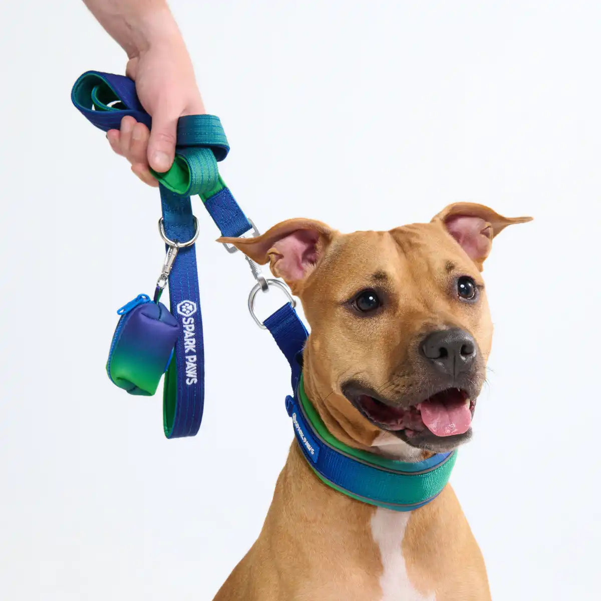 sparkpawsmaut.com