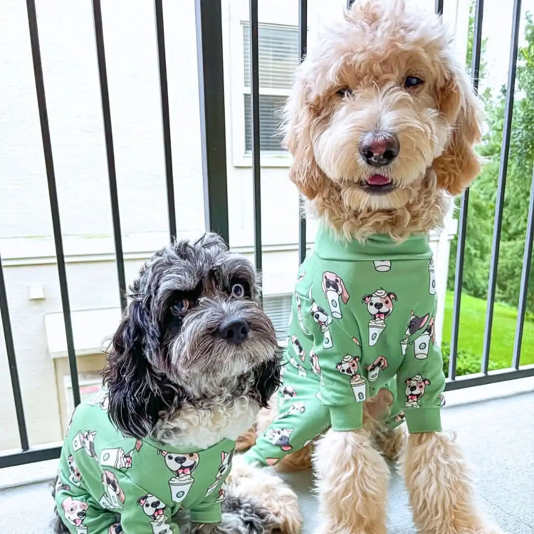 sparkpawsmaut.com