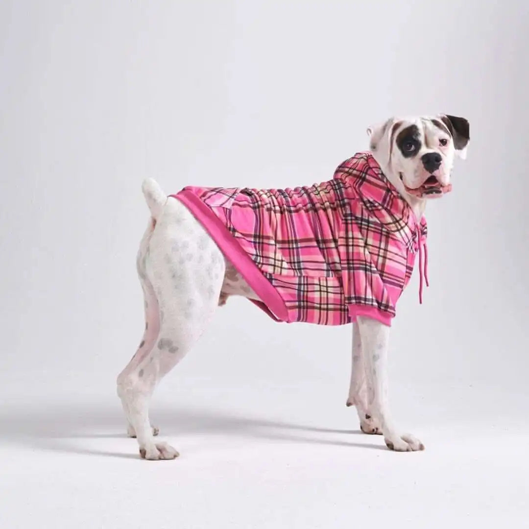sparkpawsmaut.com
