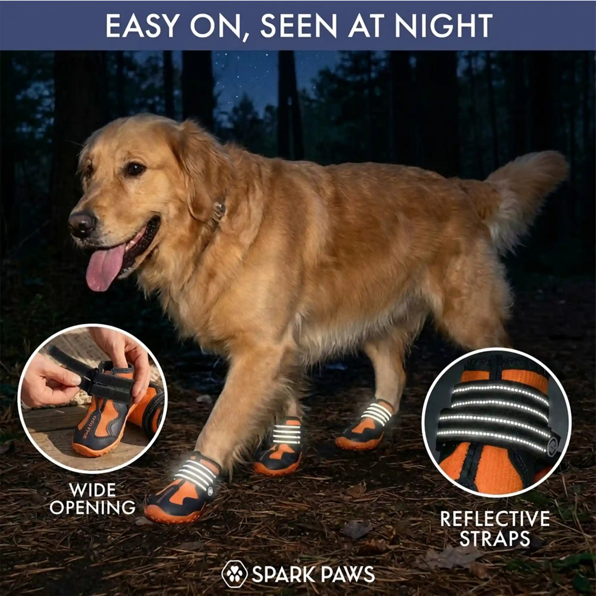 sparkpawsmaut.com
