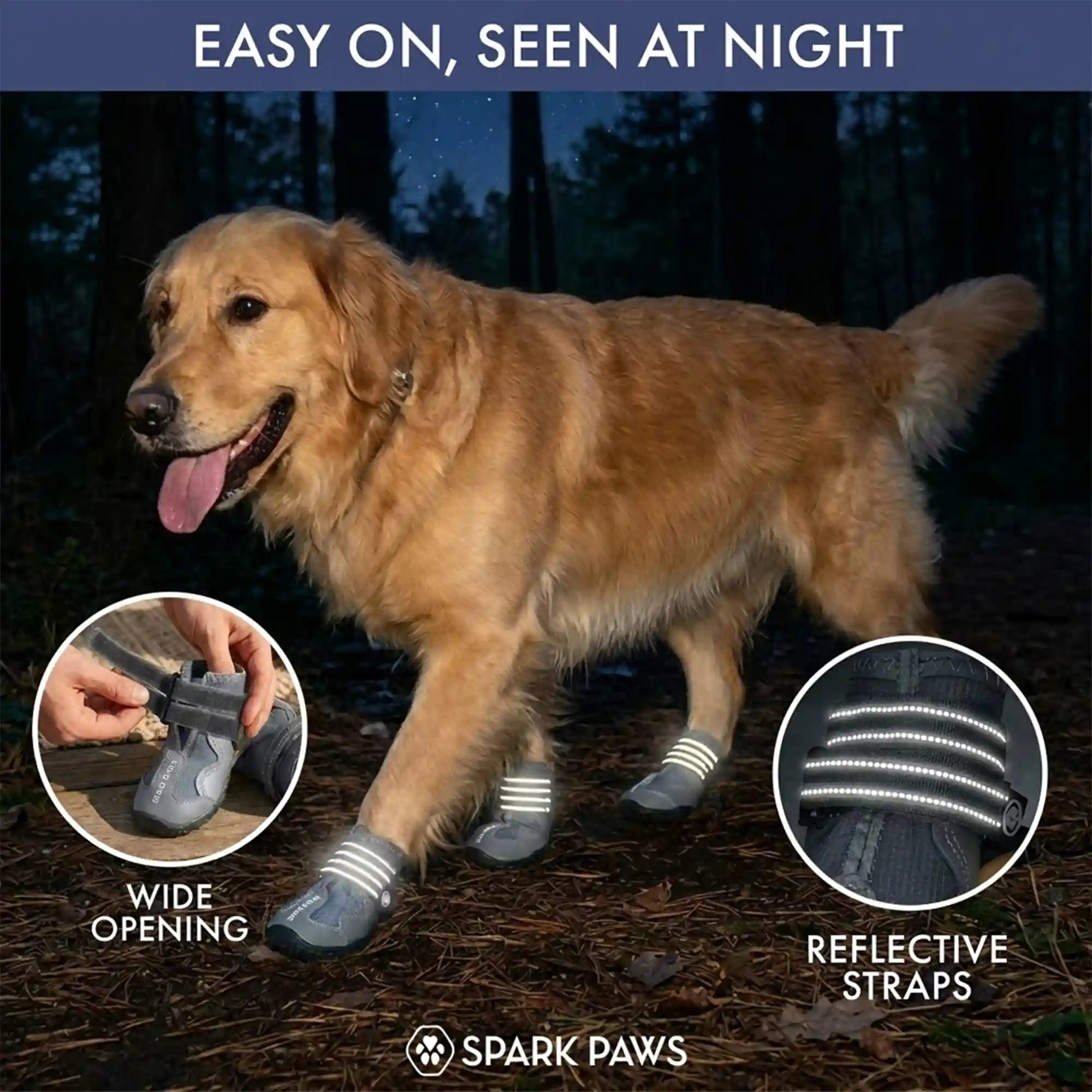 sparkpawsmaut.com