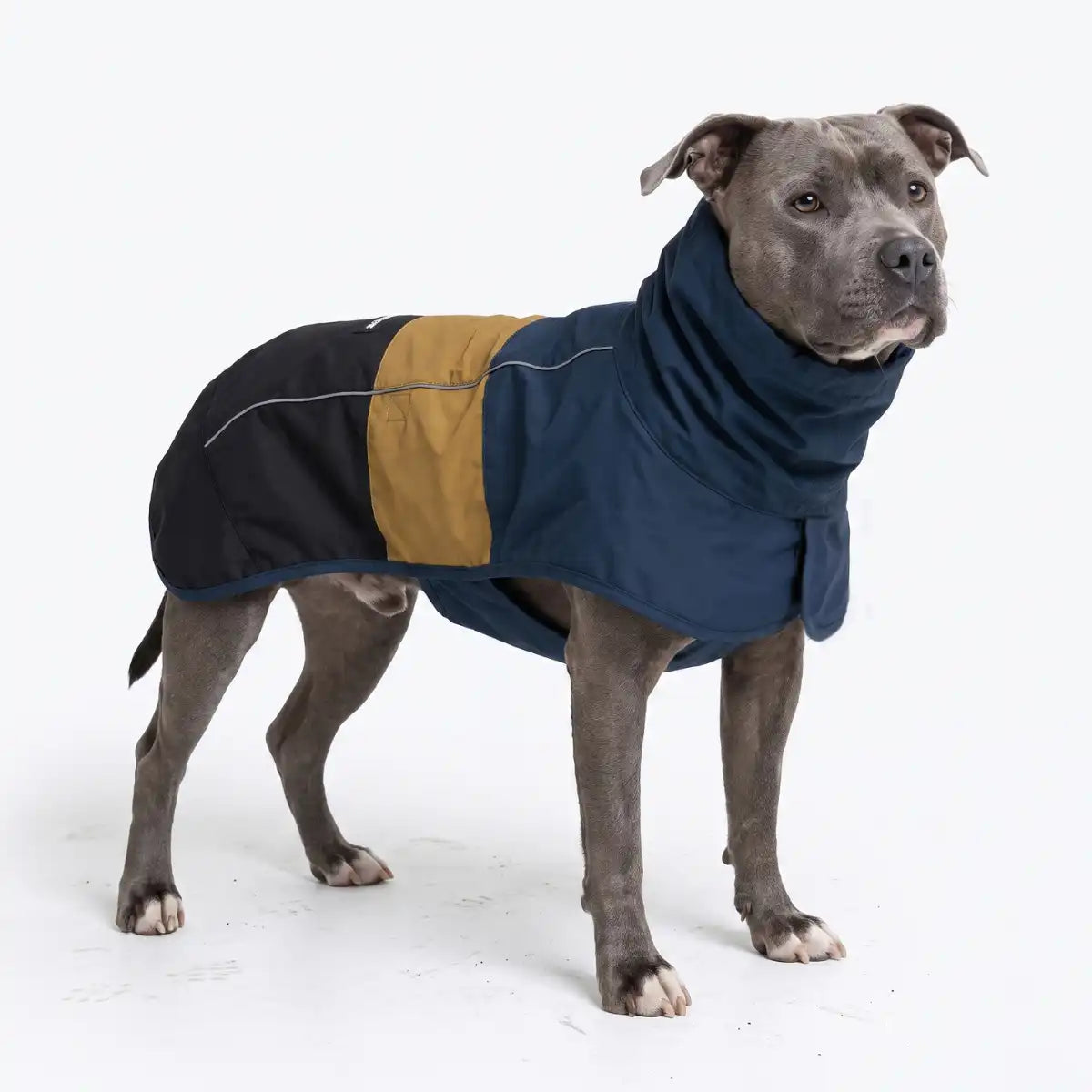 sparkpawsmaut.com