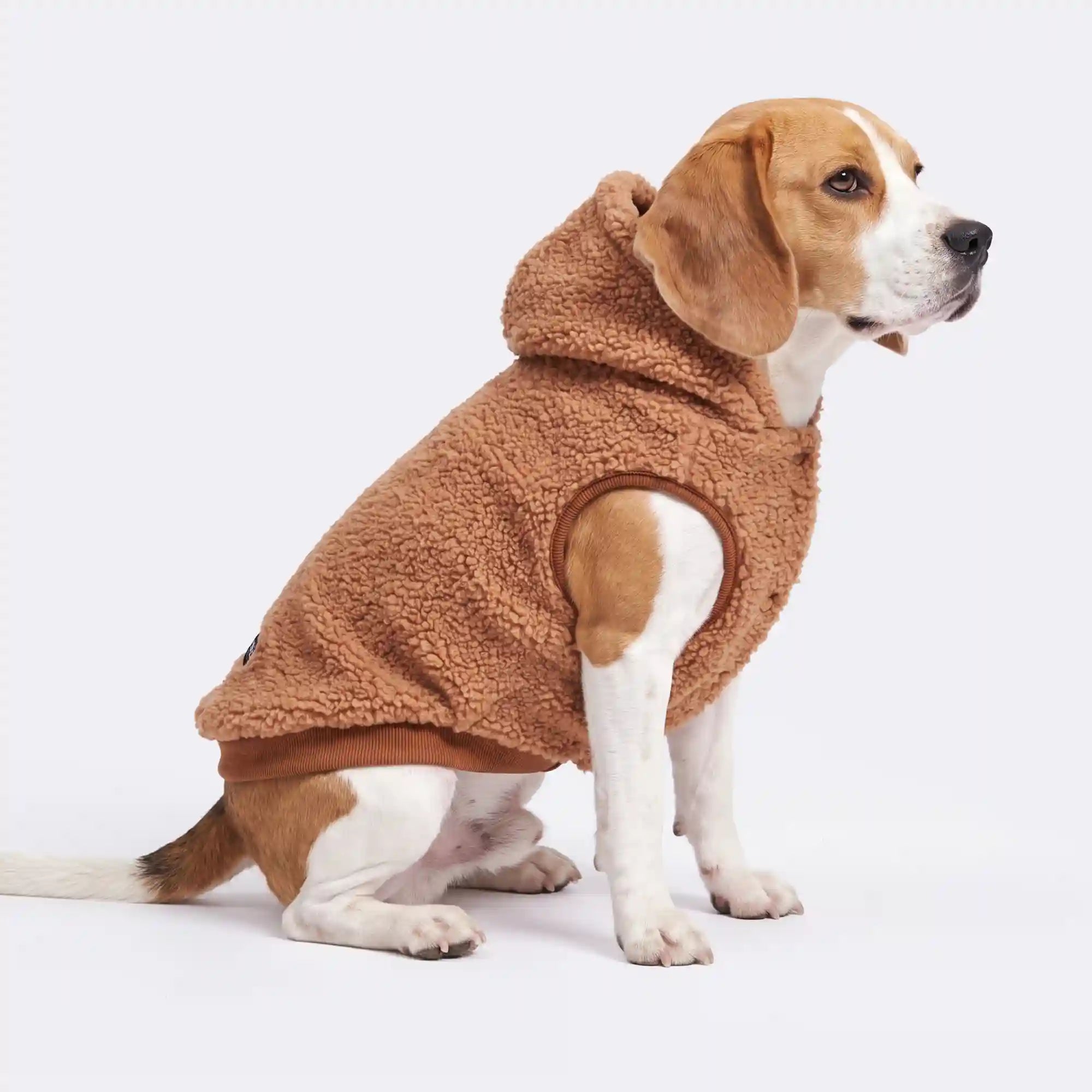 sparkpawsmaut.com