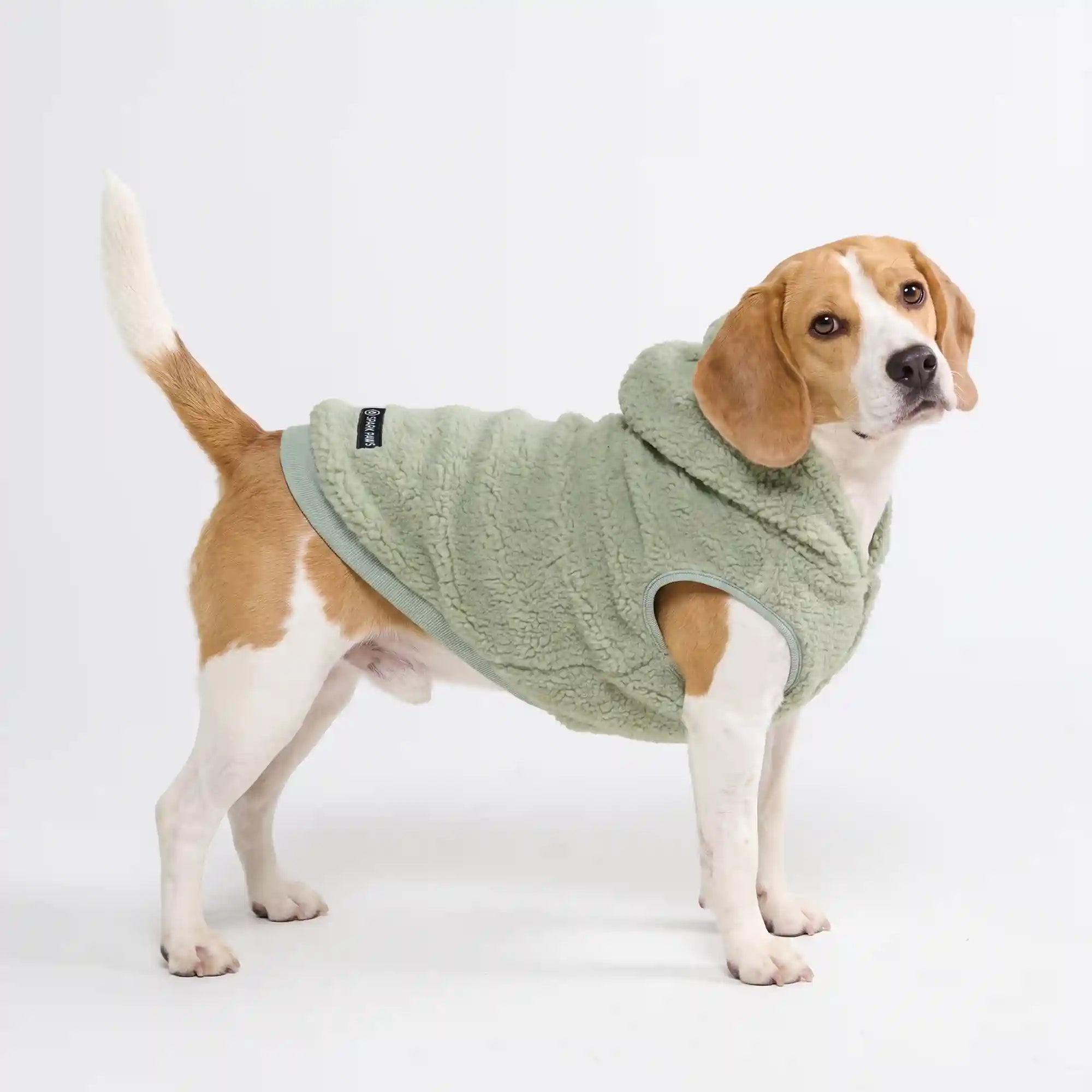 sparkpawsmaut.com