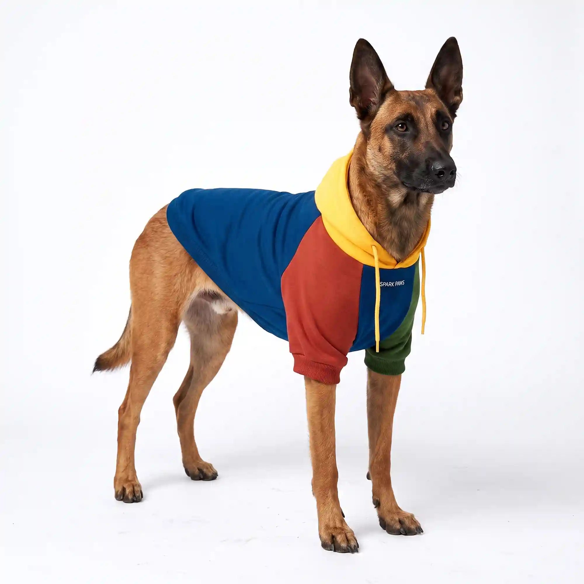 sparkpawsmaut.com
