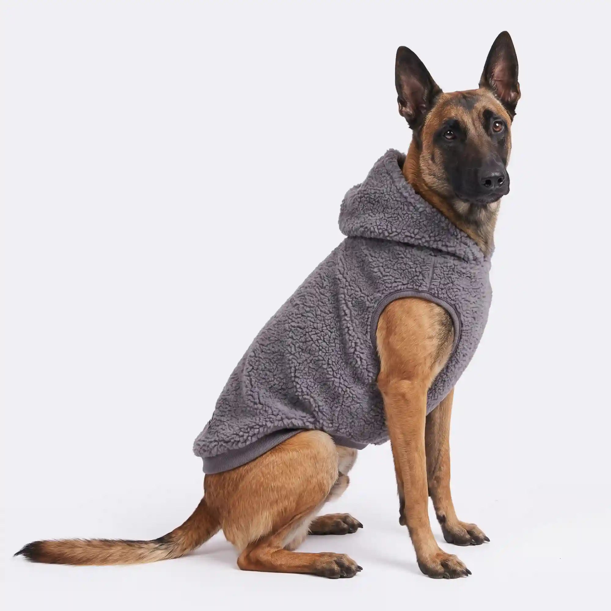 sparkpawsmaut.com