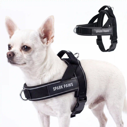 Grab & Go Harness