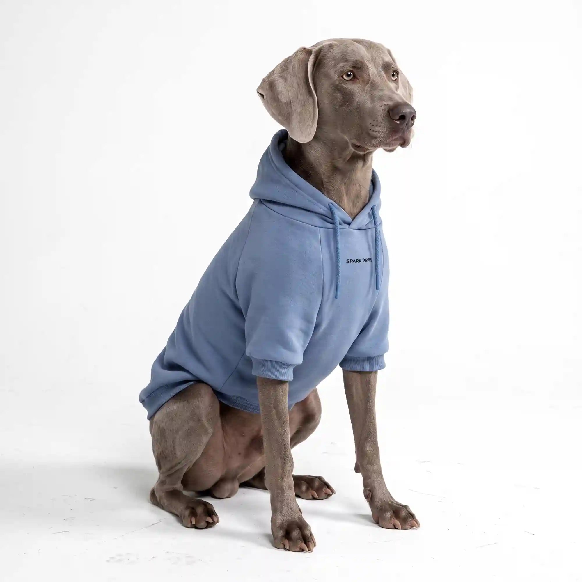 sparkpawsmaut.com