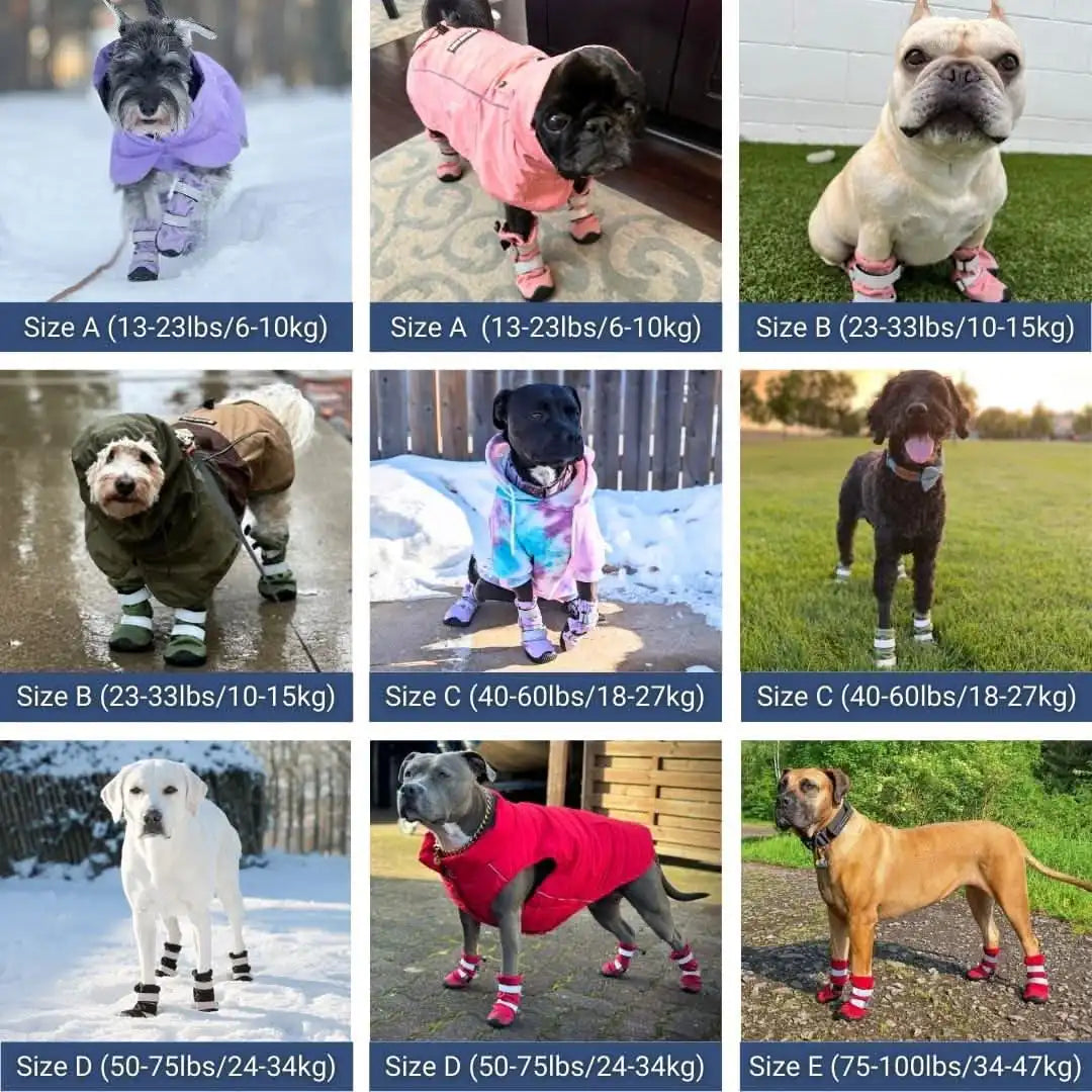 sparkpawsmaut.com