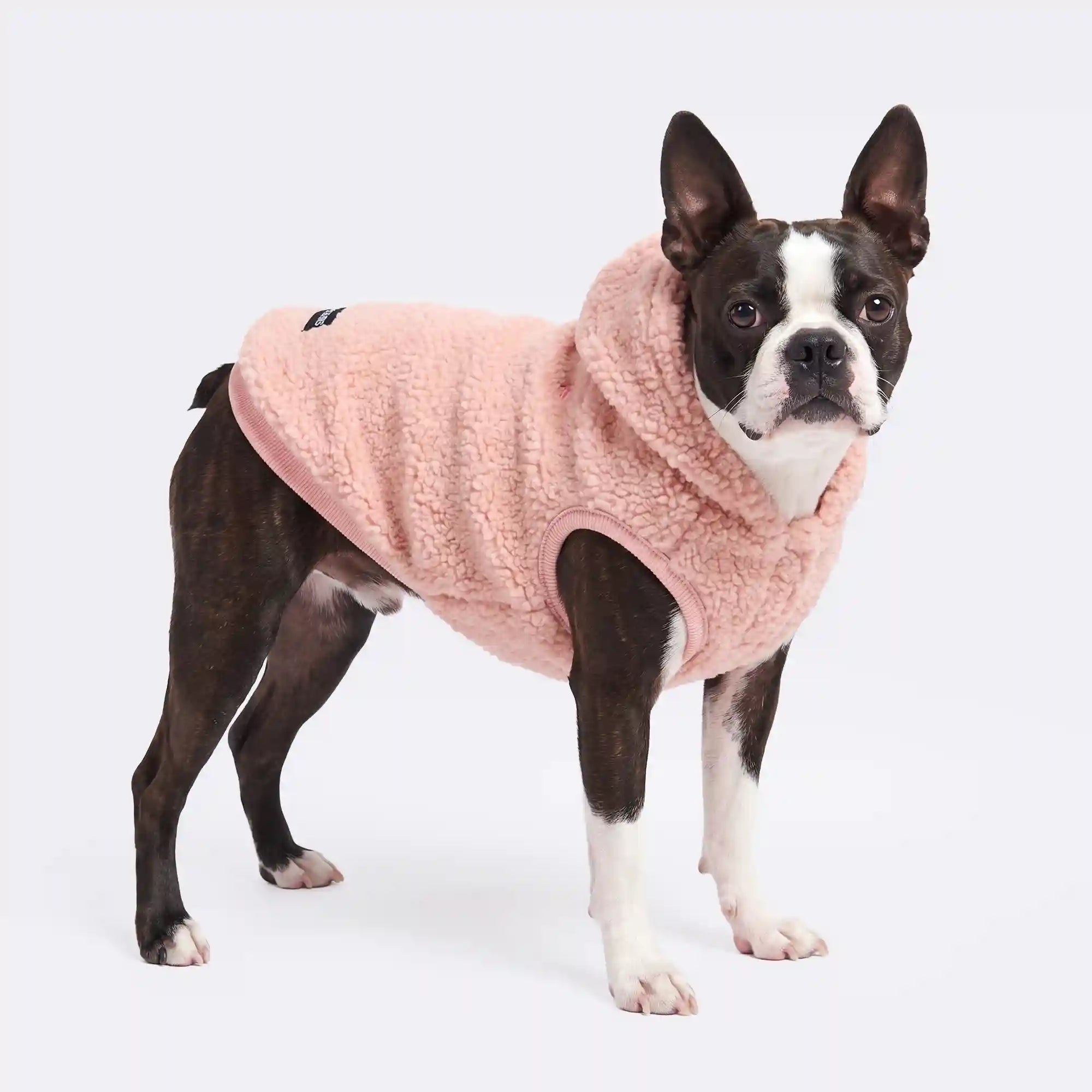 sparkpawsmaut.com