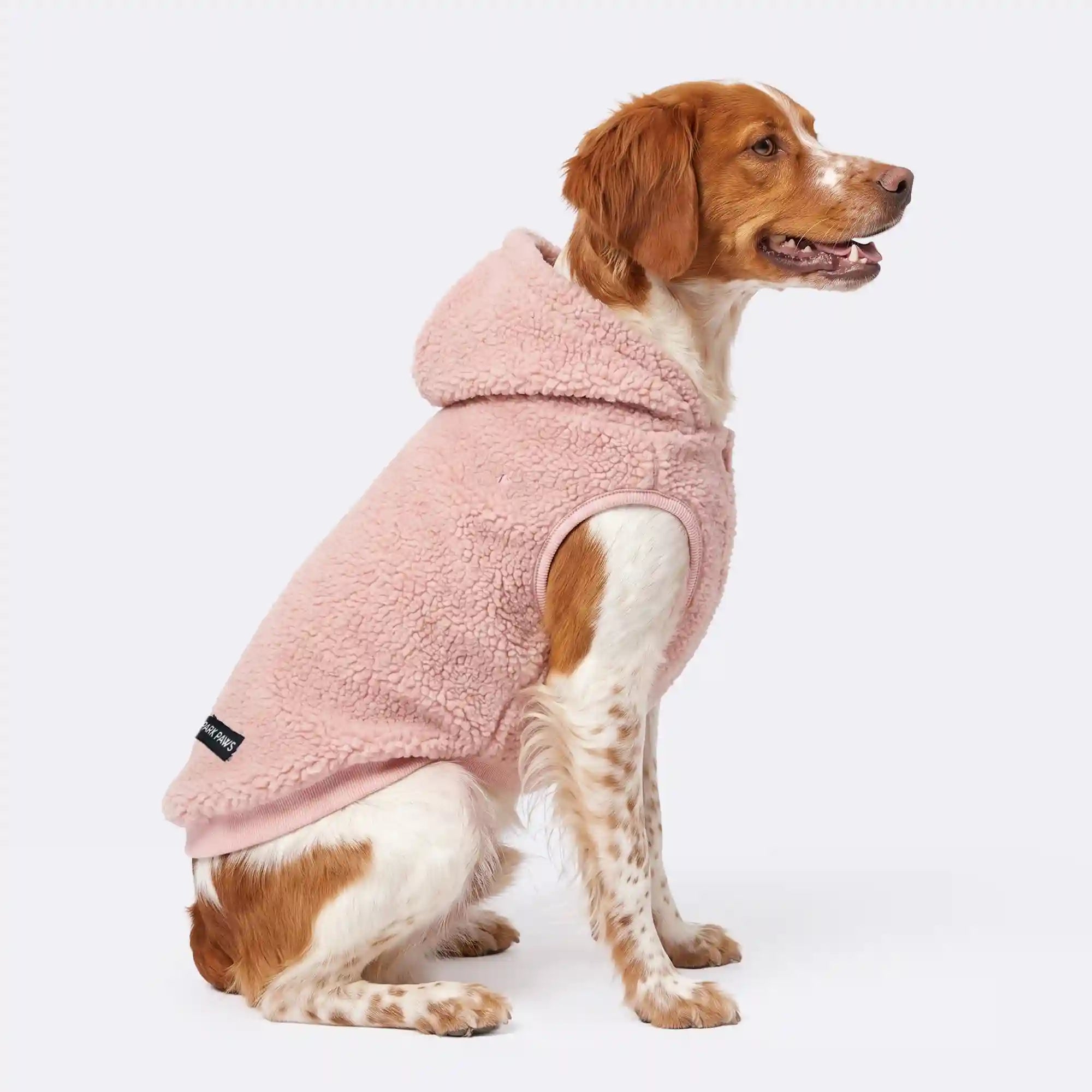 sparkpawsmaut.com